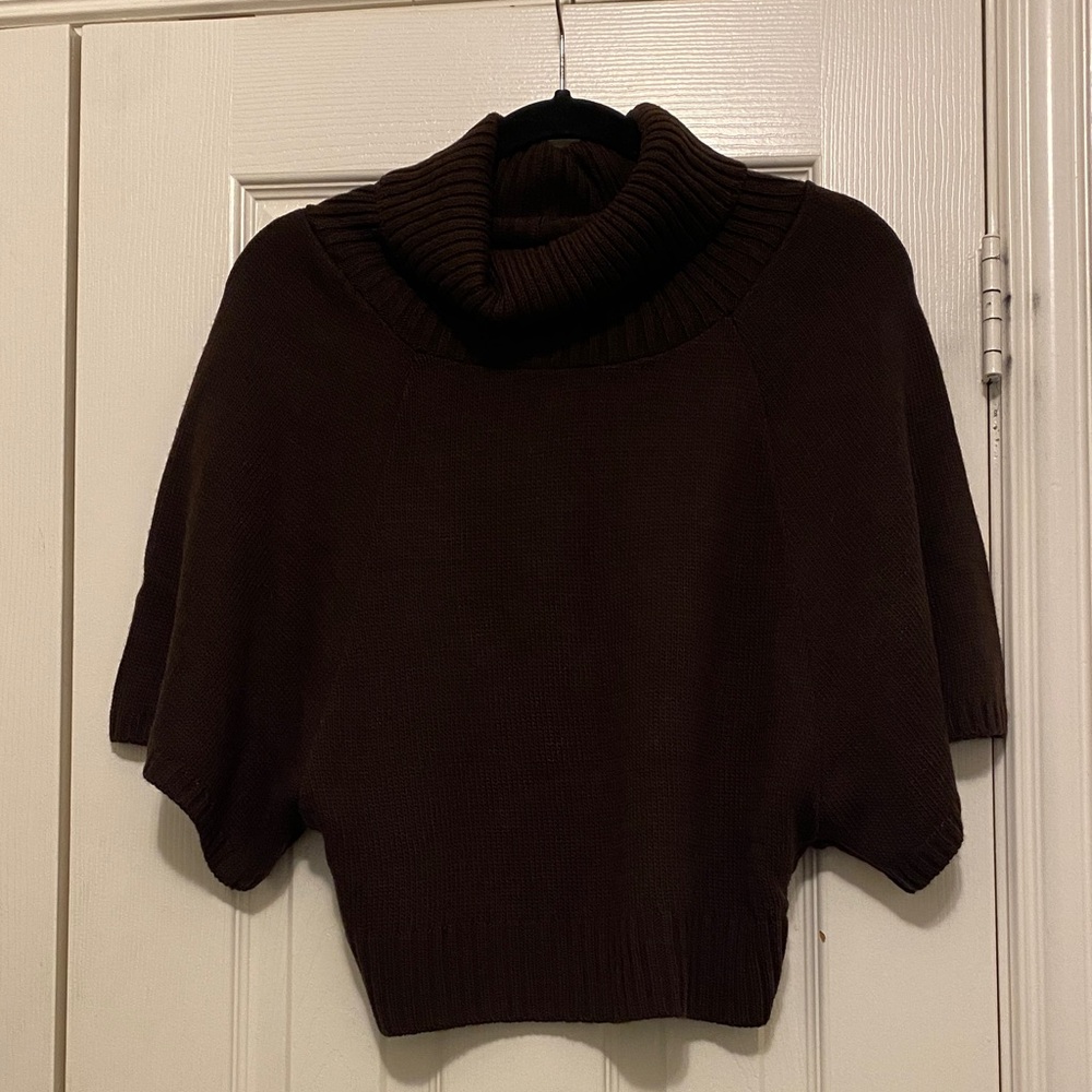 Brown Turtleneck Sweater